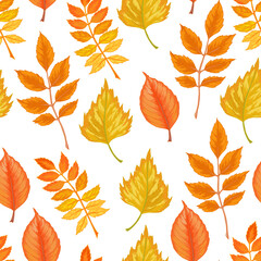 Vector autumn leaves seamless pattern on white background. Rowan, Birch, Ash