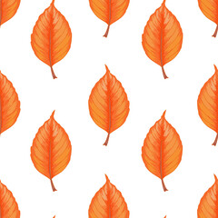 Fototapeta premium Vector autumn leaves seamless pattern on white background. 