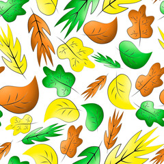 Seamless pattern with autumn leaves on a white background