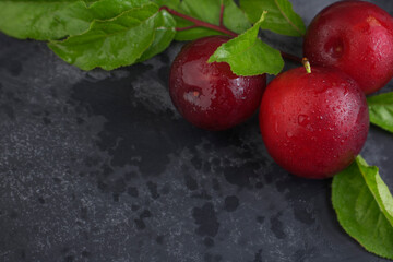 Fresh plums with leaves and water drops on a dark background. Copy space