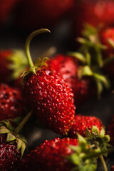 Freshly harvested wild strawberry on the rustic wooden background. Selective focus. Shallow depth of field.