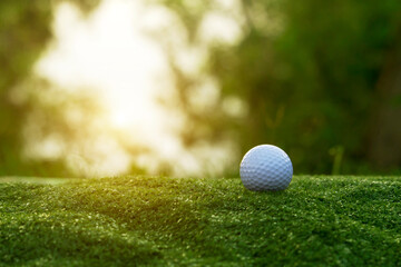 golf ball is on a green lawn in a beautiful golf course