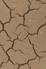 Dry ground as background. The concept of thirst, dehydration.