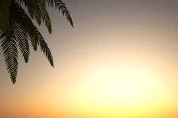 Fototapeta na wymiar beautiful landscape with palm tree in front of sunset and sky background - 3D Illustration