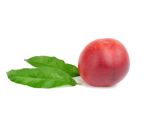 ripe red round nectarine and a branch with green leaves isolated on white background