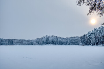 Winter landscape, snowy field, mixed forest, low sun
