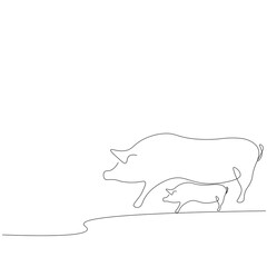 Pigs on white background. Vector illustration