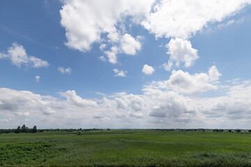 Fototapeta premium 草原と青空