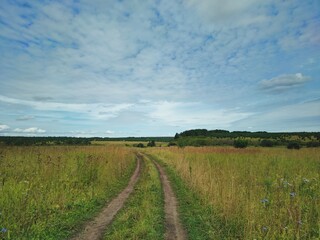 Fototapeta na wymiar blue cloudy sky over country road in the field