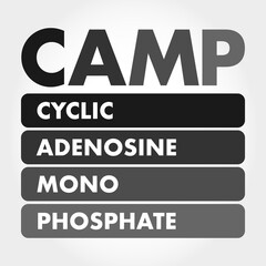 CAMP - Cyclic Adenosine MonoPhosphate acronym, medical concept background