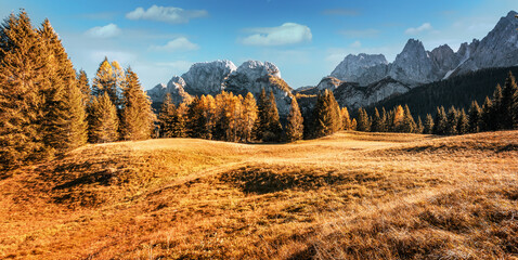 Awesome alpine highlands in sunny day. Scenic image of fairy-tale autumn Landscape in sunlit with...