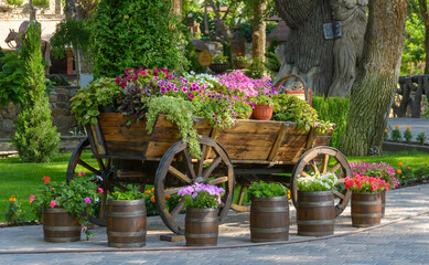 Fototapeta na wymiar A wooden cart full of bright multicolored flowers . Wheeled cart with flowers in the city Park.Decoration, design, Floristics, Park decoration.