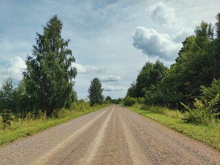 road among the trees on a sunny day against a blue sky with clouds