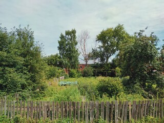 a small vegetable garden behind a wooden fence near the house