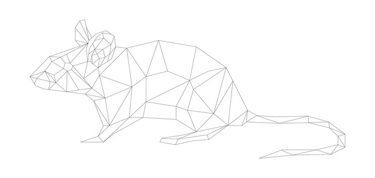 simple line vector polygone art of mouse