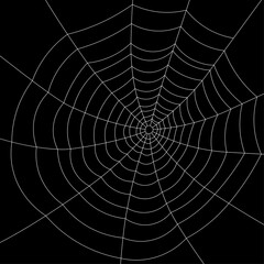 Full screen white spiderweb on black background.