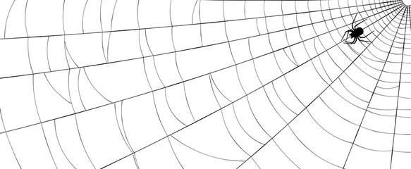 Spiderweb with spider crawling from corner to center.
