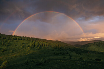 Fototapeta na wymiar A rainbow over a field