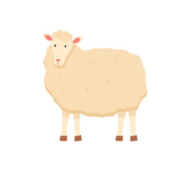 Farming vector, sheep isolated lamb with wool flat style character, cute fluffy animal on farm standing in farmyard, domestic pet breeding and caring
