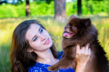 Beautiful girl playing with a Pomeranian in nature. Spitz in nature.