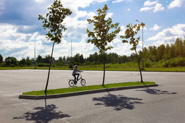 Child riding a bicycle and three trees growing from lawn among asphalt on background of park and blue sky