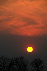 Fiery clouds burning while the African sun is sliding down into the hanging dust