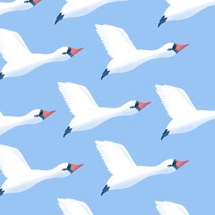 Obraz premium Pattern with swans. Drawing with birds. White wings. Red beak. Swans are flying.