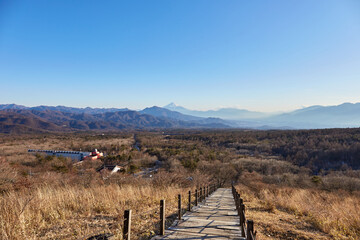 冬、美し森の遊歩道から遠くに富士山を望む 山梨県北杜市