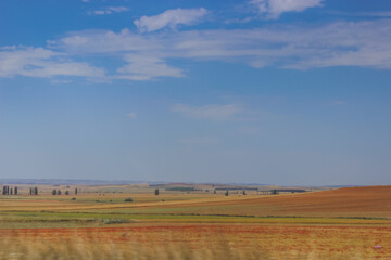 Fototapeta na wymiar rural landscape with blue sky and clouds. poppy field, plowed land