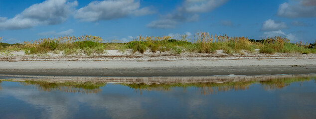 Sea Oats in the dunes at East Beach as viewed from the surf, St Simons Island, GA