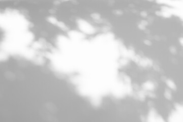 Blurred overlay effect for photo. Gray shadows of tree branches on a white wall. Abstract neutral nature concept background for design presentation. Shadows for natural light effects