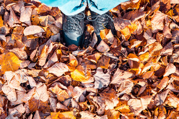 Autumn image of legs in black boots on the colorful leaves. Golden season. Concept.