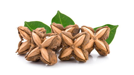 Sacha inchi peanut seed isolate on white background
