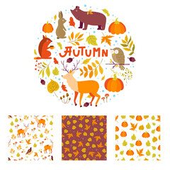 Set of Autumn cartoon characters, plants and leaves. Fall season