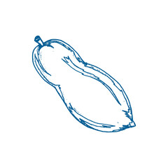 Papaya Hand Drawn