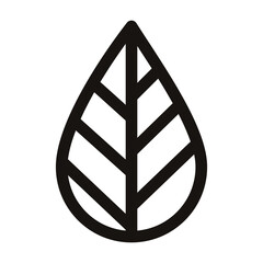 ecology leaf plant isolated icon