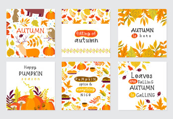 Set of Autumn cartoon characters, plants and leaves. Fall season