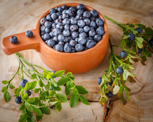 fresh organic forest blueberries on wooden background