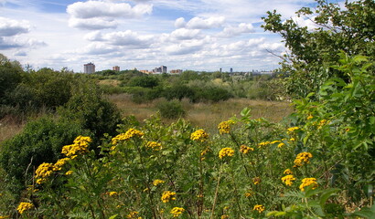 Blick von der früheren Mülldeponie auf Wohnbauten in Berlin, Ortsteil Marienfelde