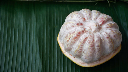 Close up of ripe grapefruit