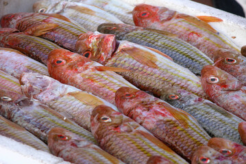 Kleine, rote, frische Fische vom Markt