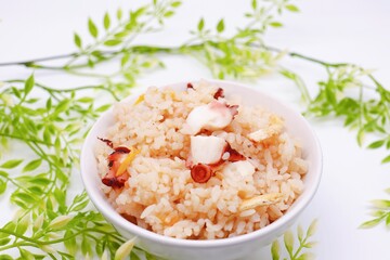 たこめし　瀬戸内地域の郷土料理