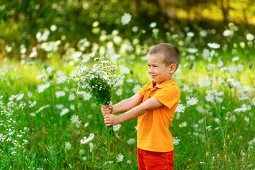 happy boy on the field with flowers holding a bouquet of flowers, children's lifestyle