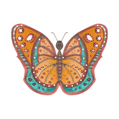 butterfly in decorative style watercolor
