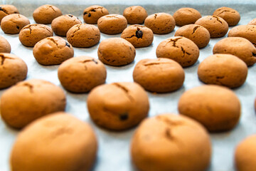 Homemade chocolate chip cookies or biscuits on baking sheet. Selective focus.