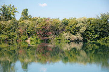 Fototapeta na wymiar lake in the forest, Sljunkara, Serbia