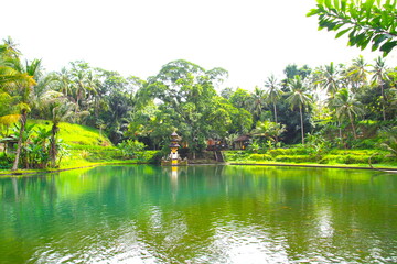 Fototapeta na wymiar Beautiful landscape on a lake in a tropical forest near Ubud, Bali, Indonesia