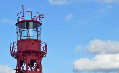 red leaves of a treen against blue sky background