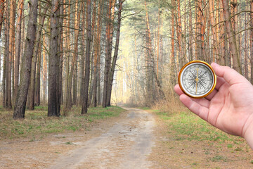 round compass in hand on autumn pine forest background as symbol of tourism with compass, travel with compass and outdoor activities with compass in autumn