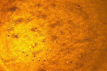 Golden background with bubbles, drops and color gradient. Honey texture, bright light. Looks sumilar to beer mug